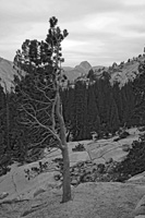 FrameHalfDomeBW-4973