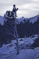 FrameHalfDomeDuo-4973