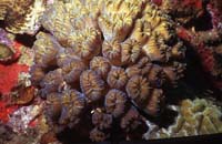 Stunning-Fr3-DI-N-72dpi