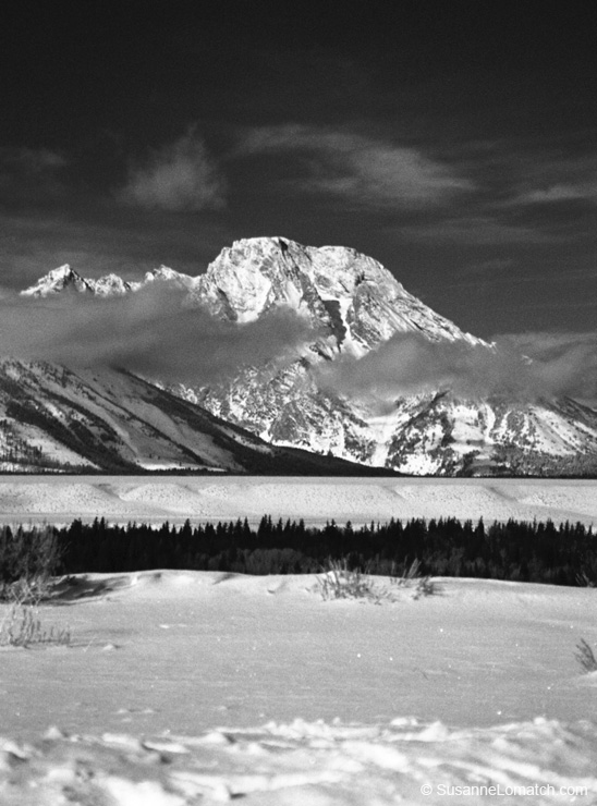 "Mt. Moran"
