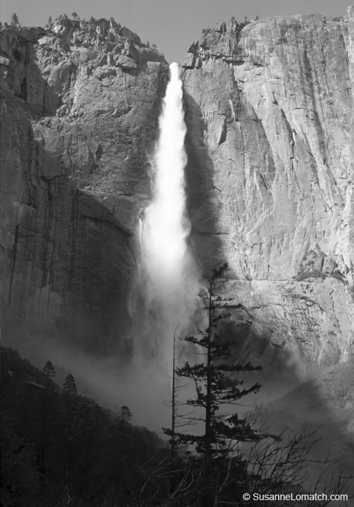 "Yosemite Falls"